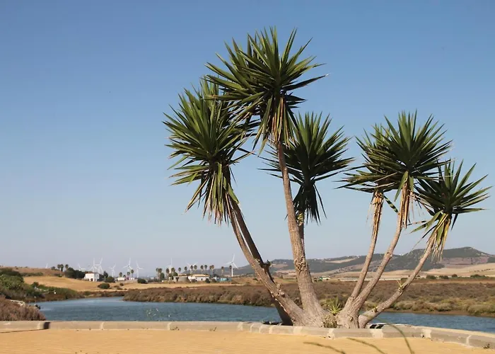 Cervantes Conil * Conil De La Frontera
