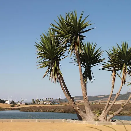 Cervantes Conil * Conil De La Frontera